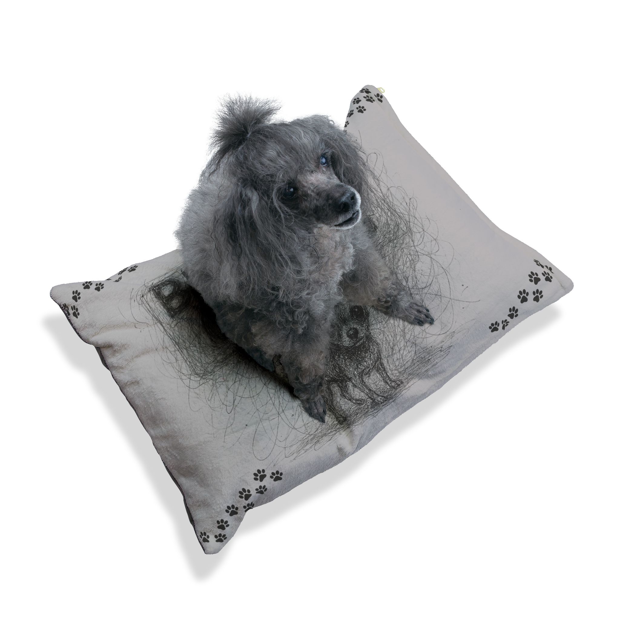 Beware of Dog Pet Bed Grey - Smaller 28" x 18" - Image 3