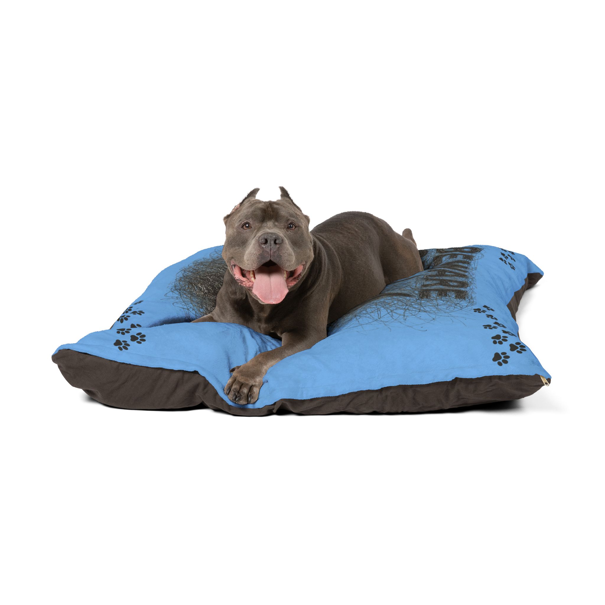Beware of Dog Pet Bed Light Blue - Large 50" x 40" - Image 3