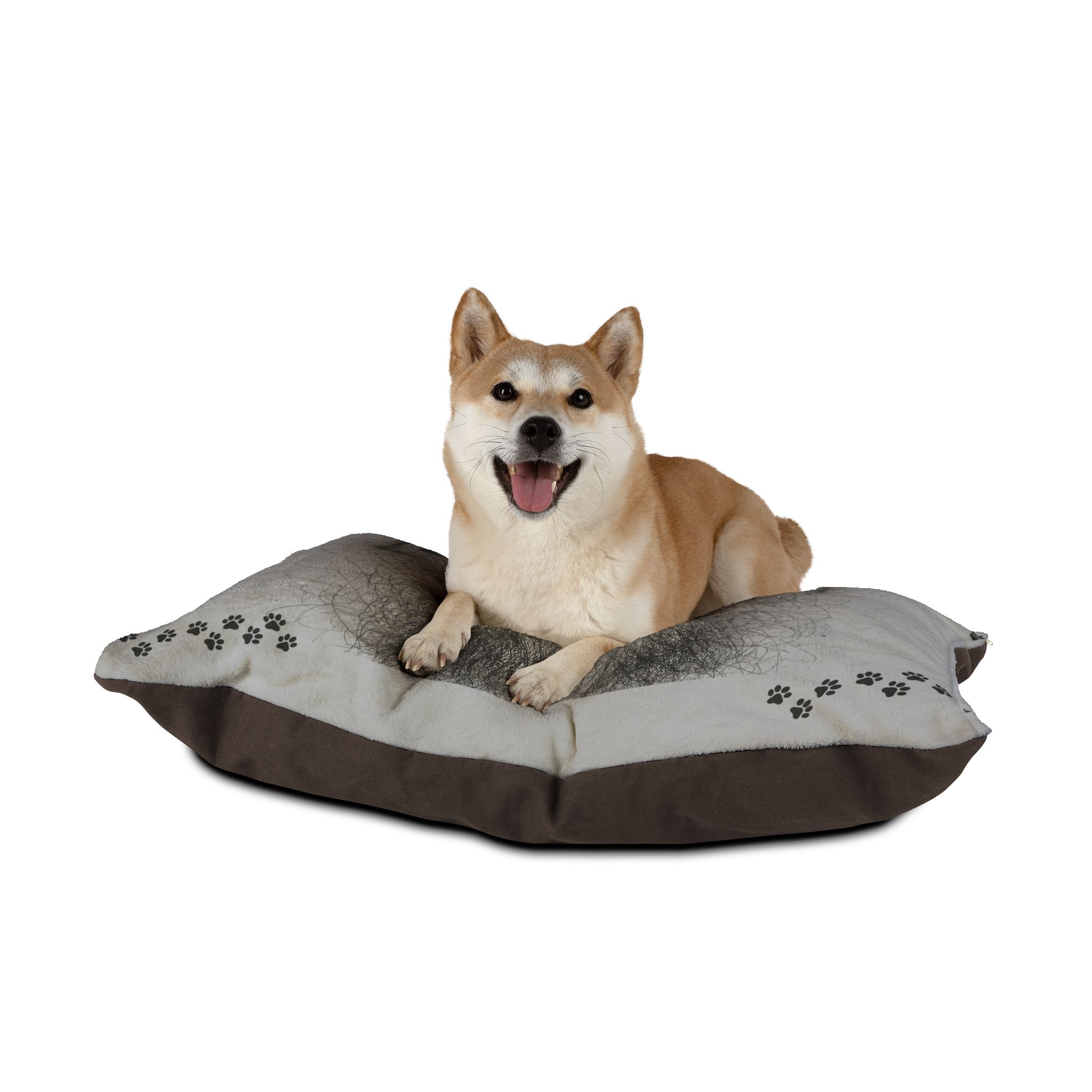 Beware of Dog Pet Bed Grey - Medium 40" x 30" - Image 3