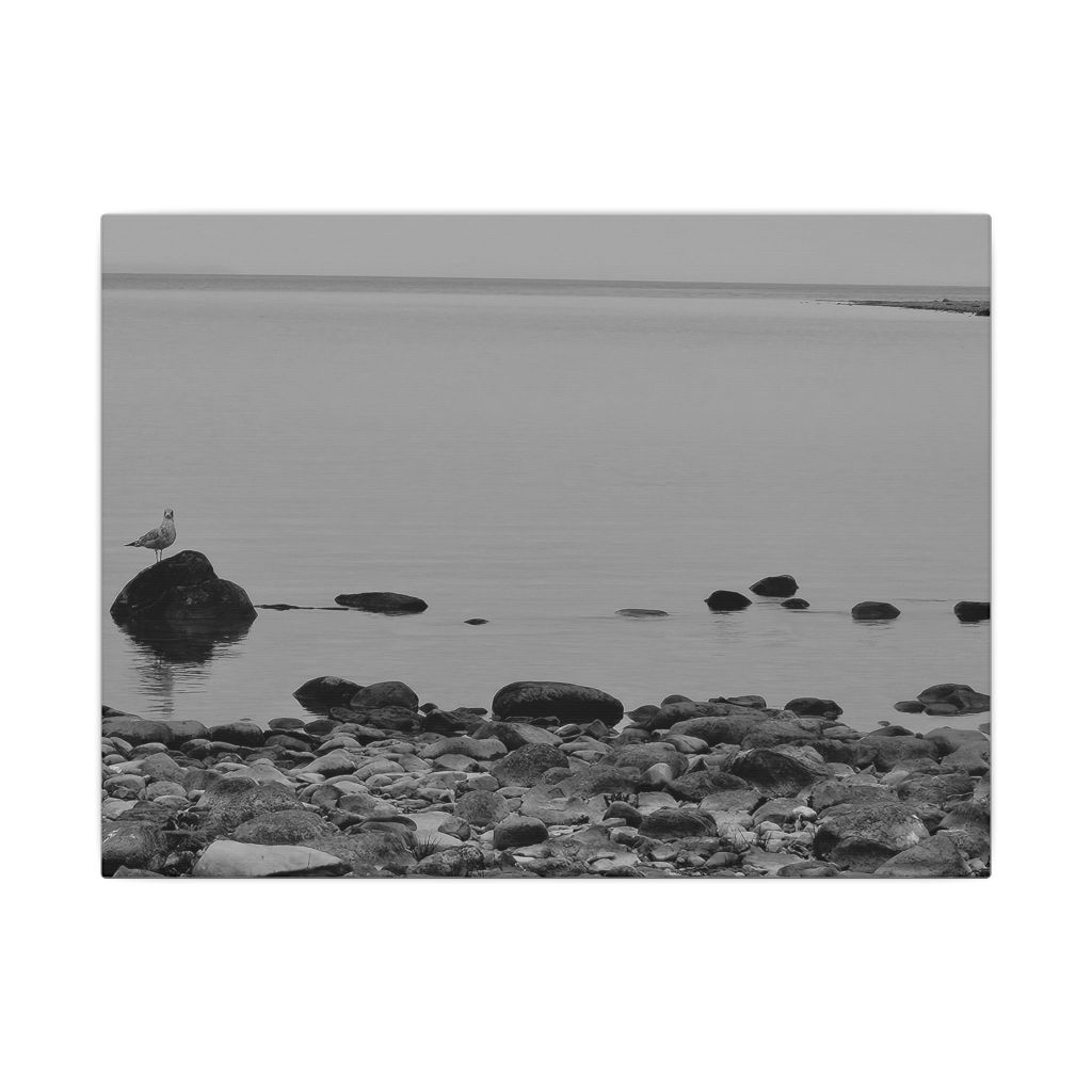 Black and White Landscape Canvas Print - Wilderness, MI